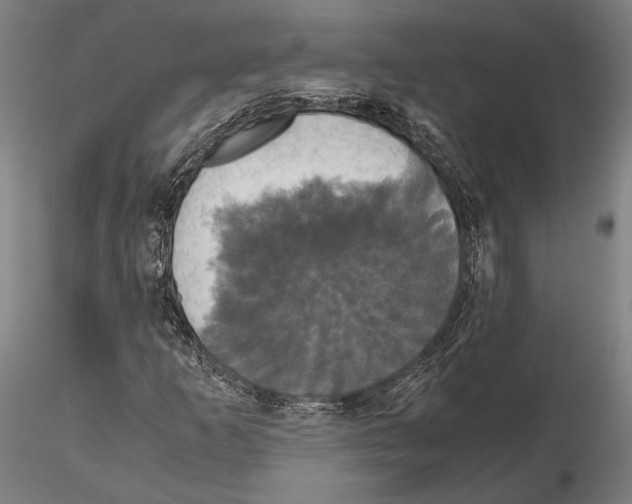 X0000114641253200912011040