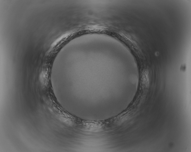 X0000114641254200912011040