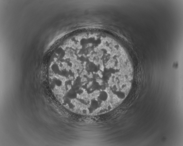 X0000114641255200912011040