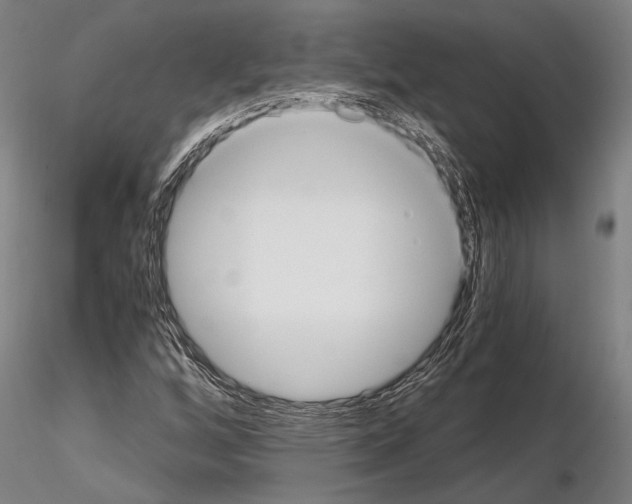 X0000114641256200912011040