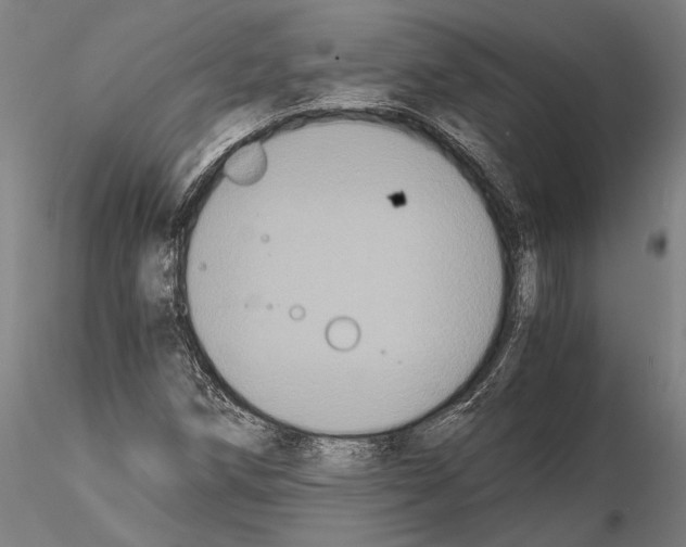 X0000114641258200912011040