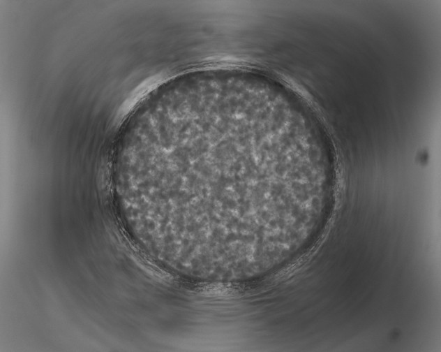 X0000114641259200912011040