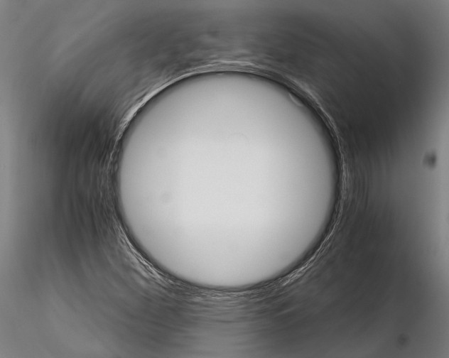 X0000114641260200912011040