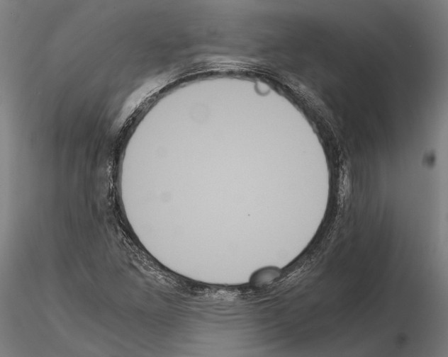 X0000114641261200912011040