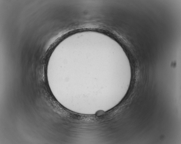 X0000114641262200912011040