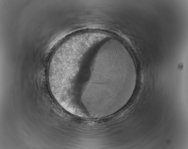 X0000114641263200912011040