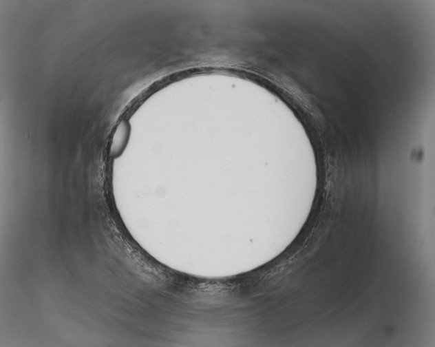 X0000114641264200912011040