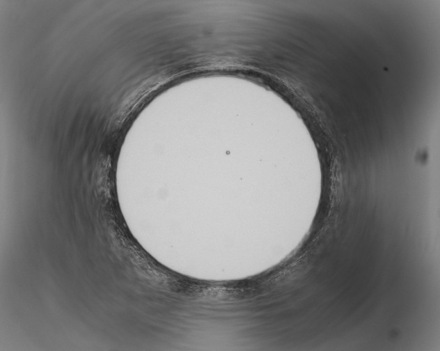 X0000114641265200912011040