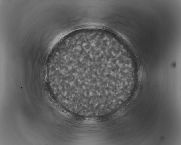 X0000114641267200912011040