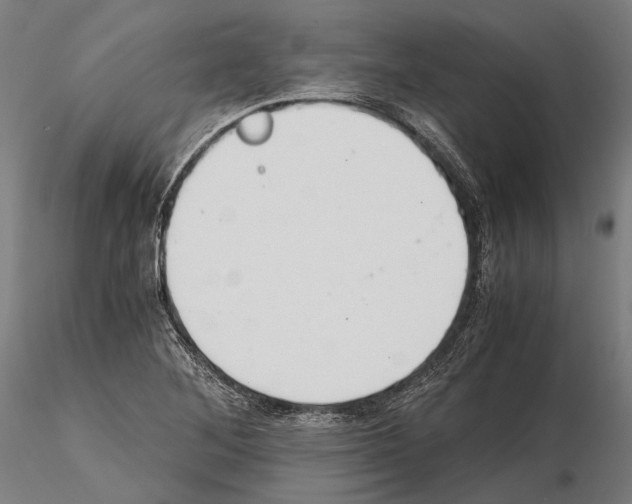 X0000114641268200912011040