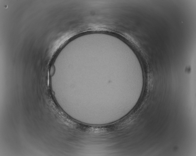 X0000114641269200912011040