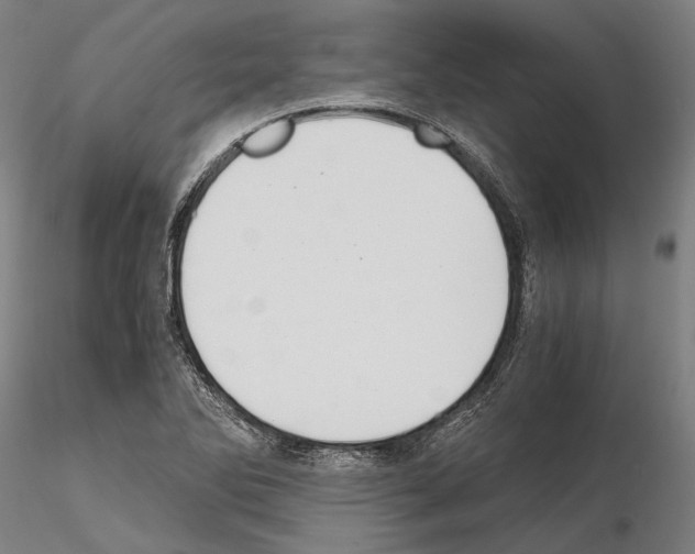 X0000114641270200912011040