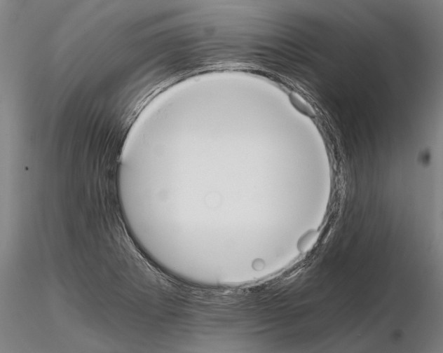 X0000114641273200912011040