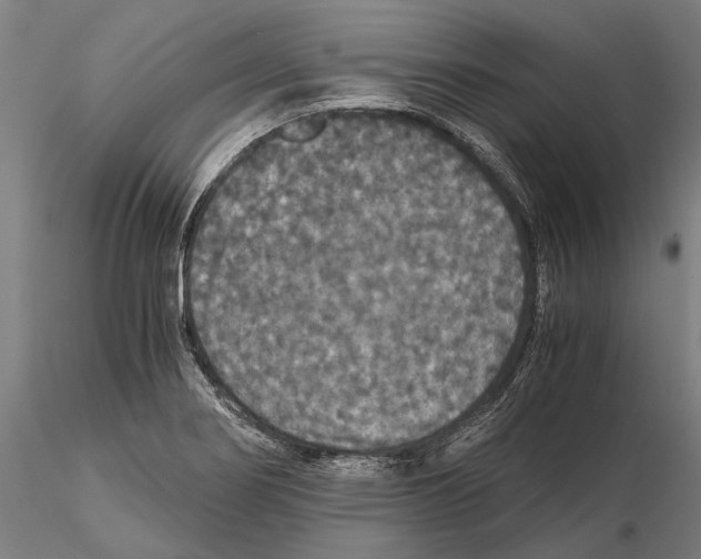 X0000114641274200912011040