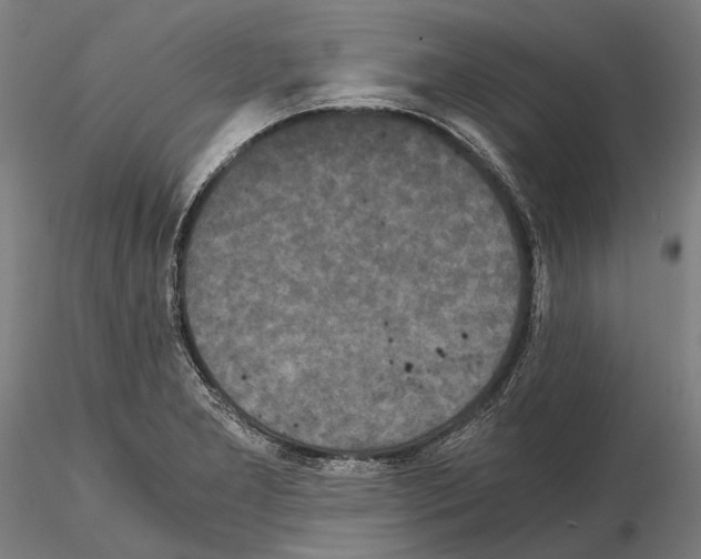 X0000114641277200912011040