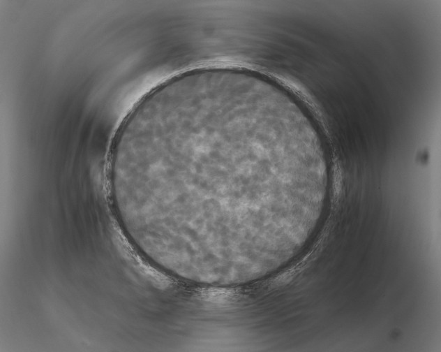 X0000114641278200912011040