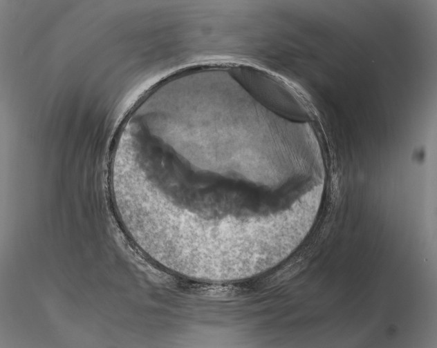 X0000114641279200912011040