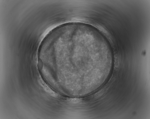 X0000114641280200912011040