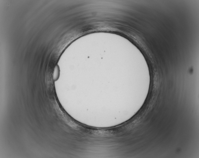 X0000114641281200912011040