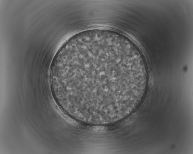 X0000114641283200912011040