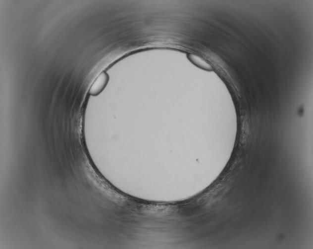 X0000114641284200912011040