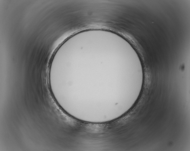 X0000114641286200912011040