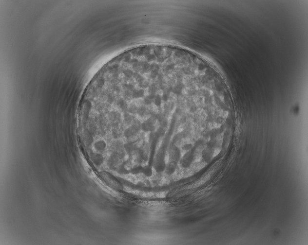 X0000114641287200912011040