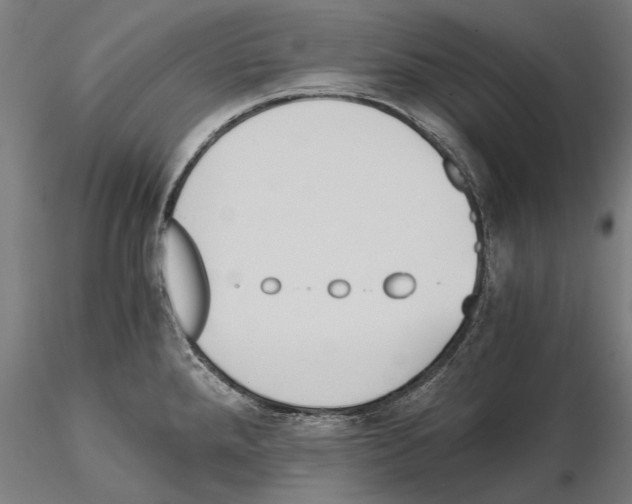 X0000114641288200912011040