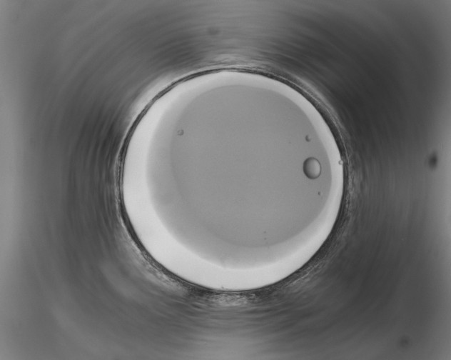 X0000114641291200912011040