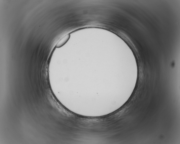 X0000114641292200912011040