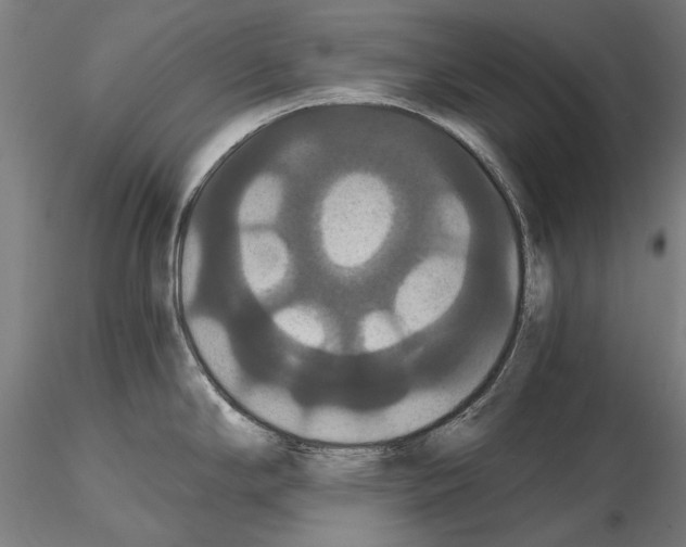 X0000114641294200912011040