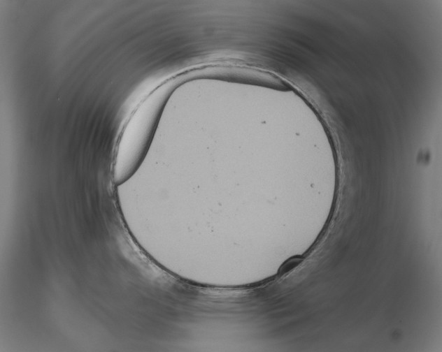 X0000114641296200912011040