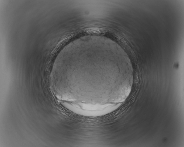 X0000114641297200912011039