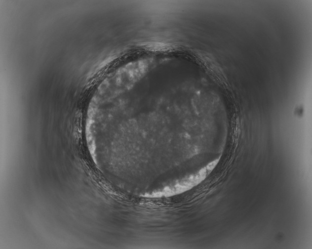 X0000114641301200912011039