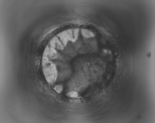 X0000114641302200912011039