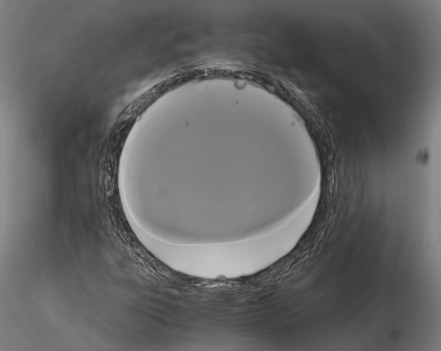 X0000114641303200912011039