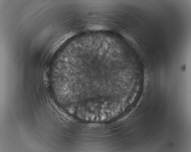 X0000114641305200912011039