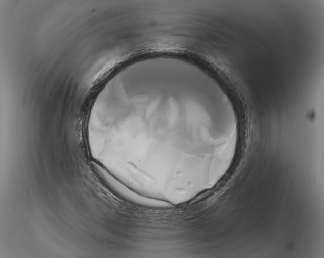 X0000114641306200912011039