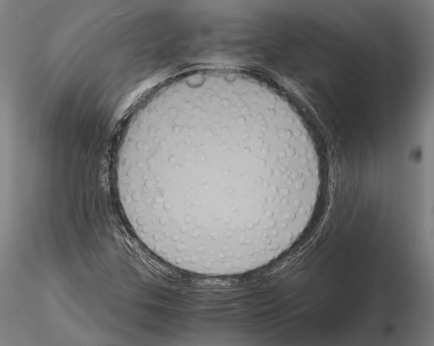 X0000114641307200912011039