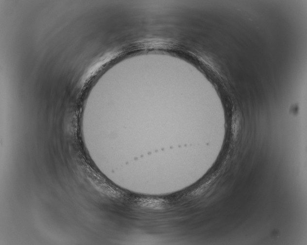 X0000114641309200912011039