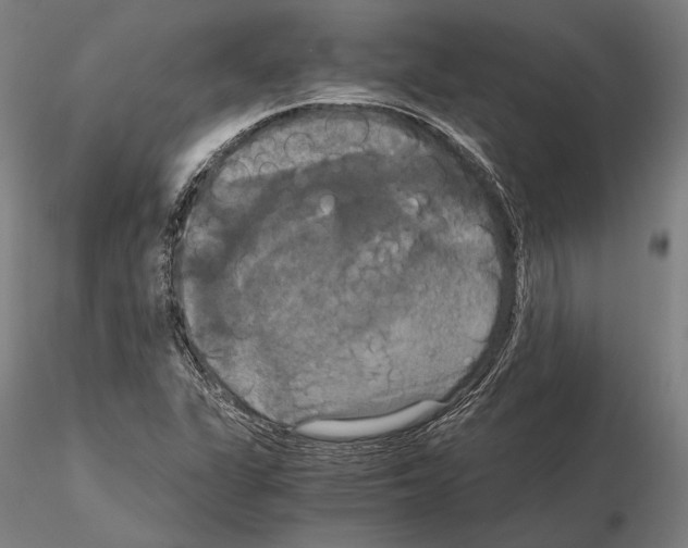 X0000114641311200912011039