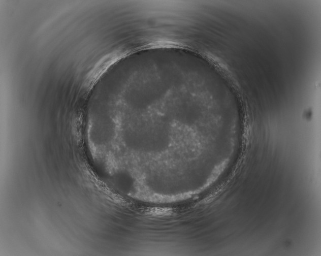 X0000114641313200912011039