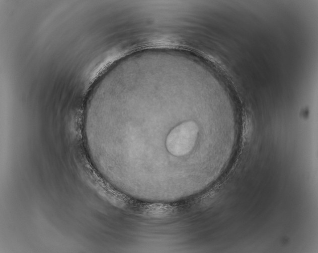 X0000114641314200912011039