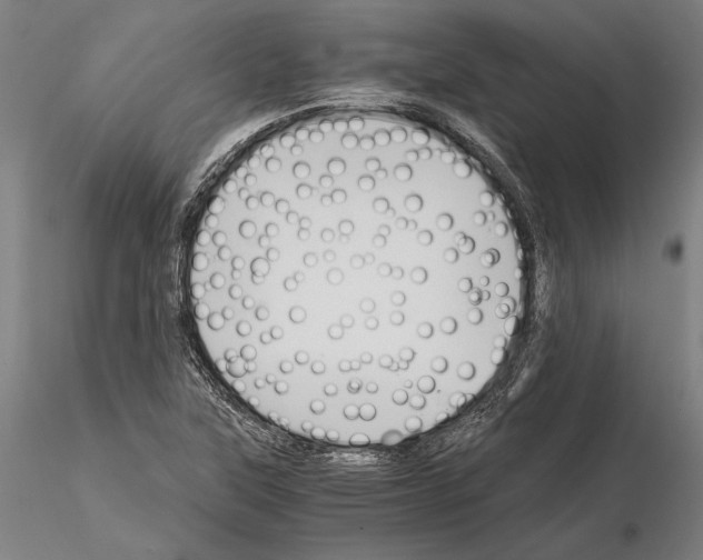 X0000114641315200912011039