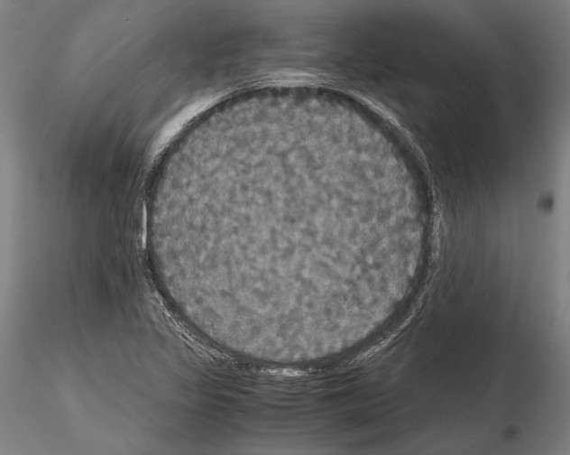 X0000114641317200912011039