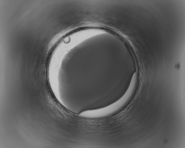 X0000114641319200912011040