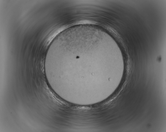 X0000114641321200912011040