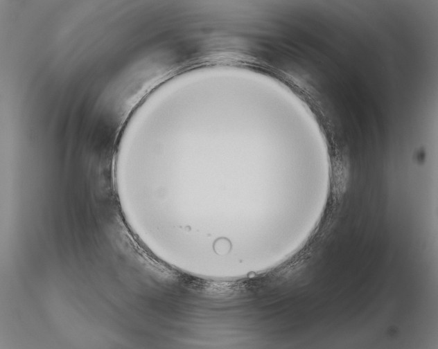 X0000114641322200912011040