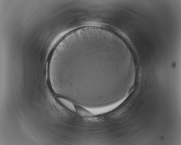 X0000114641323200912011040