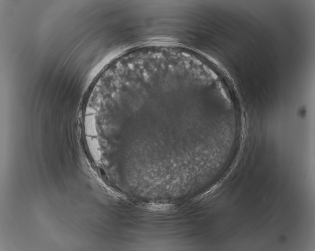 X0000114641325200912011040